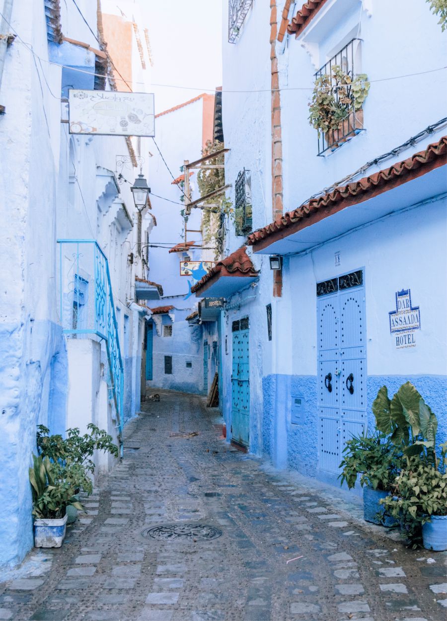 bdda58c4-c419-423a-8401-72a3eed593f3 bdda58c4-c419-423a-8401-72a3eed593f3